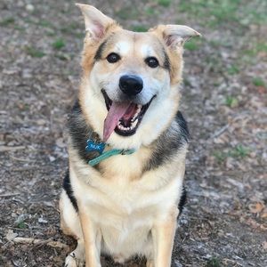 Meet your Posher, Ericka